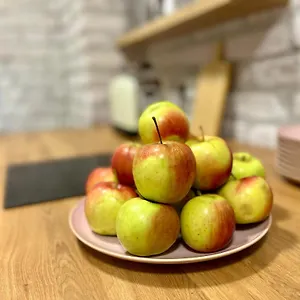 https://adlzreiter-city-pension.getmunichhotels.com